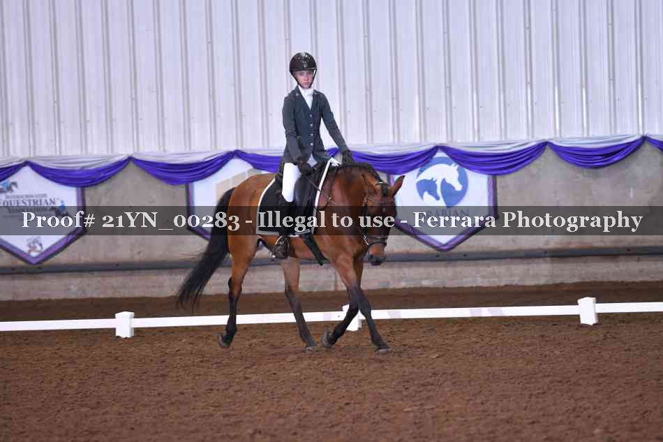 Proof Number 21YN_00283