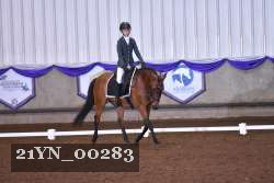 21YN_00283 thumbnail