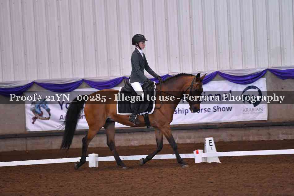 Proof Number 21YN_00285