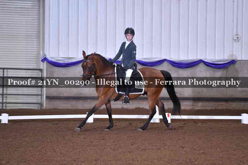 Proof Number 21YN_00290