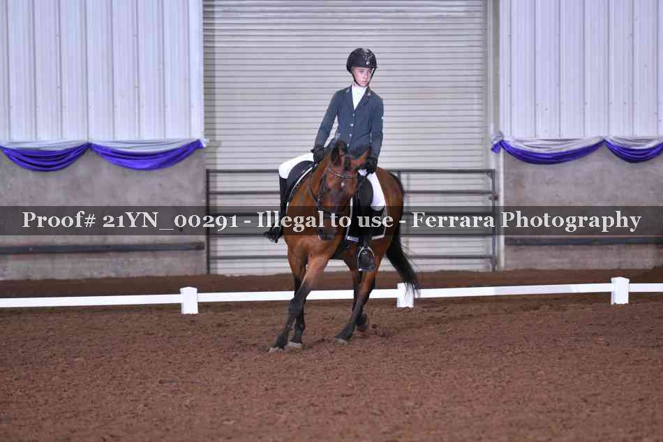Proof Number 21YN_00291