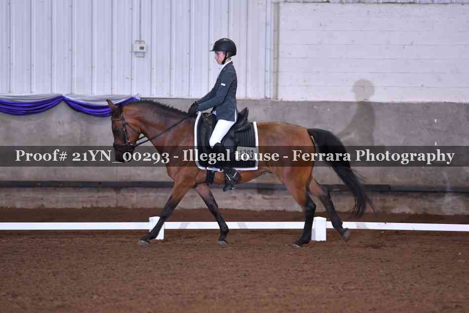 Proof Number 21YN_00293