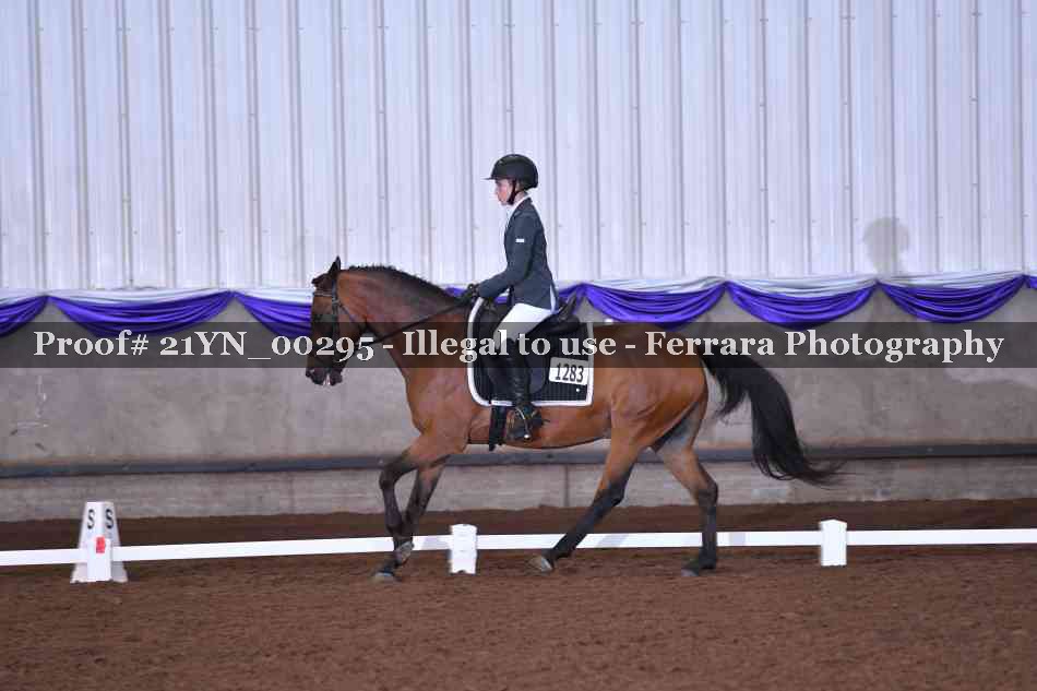Proof Number 21YN_00295