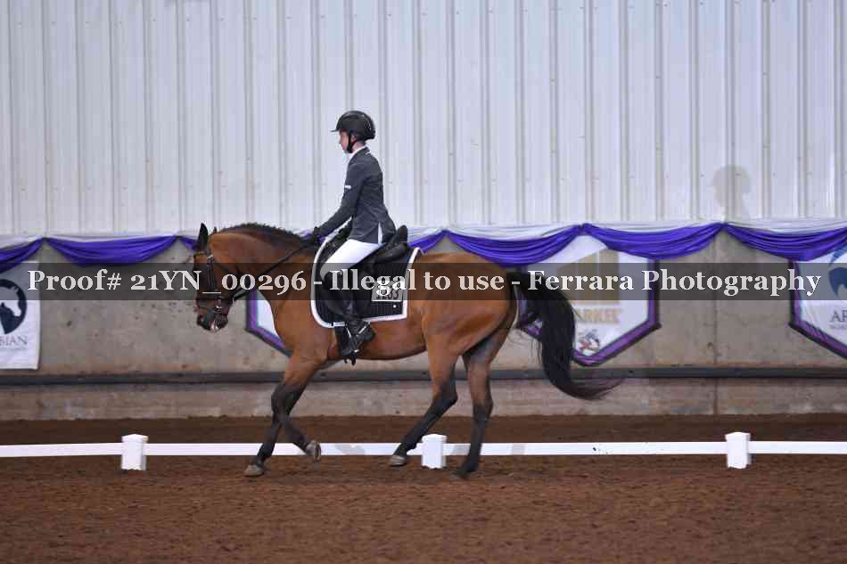 Proof Number 21YN_00296