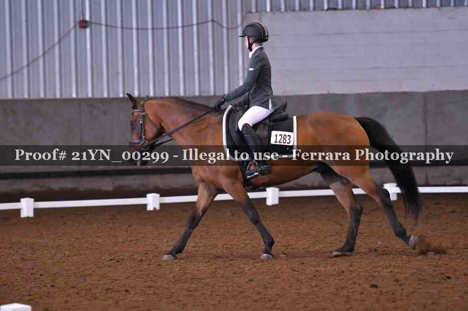 Proof Number 21YN_00299