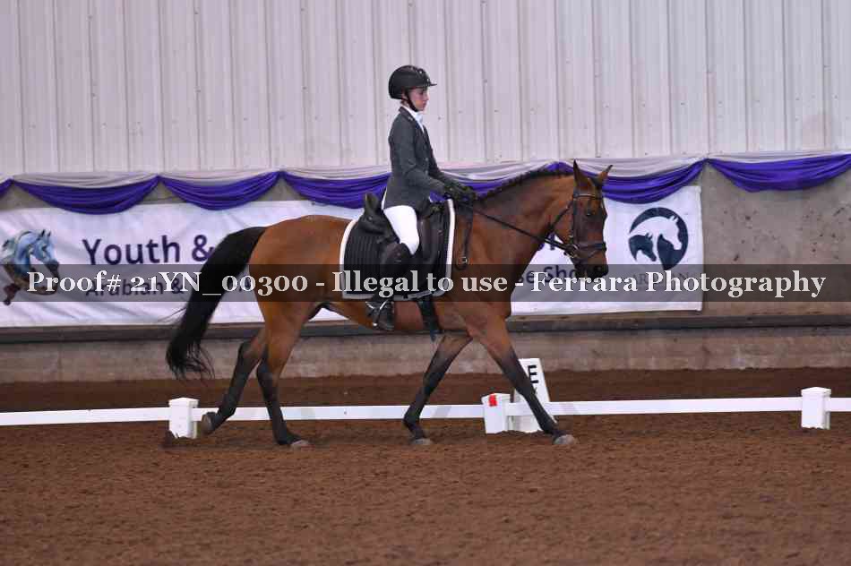 Proof Number 21YN_00300
