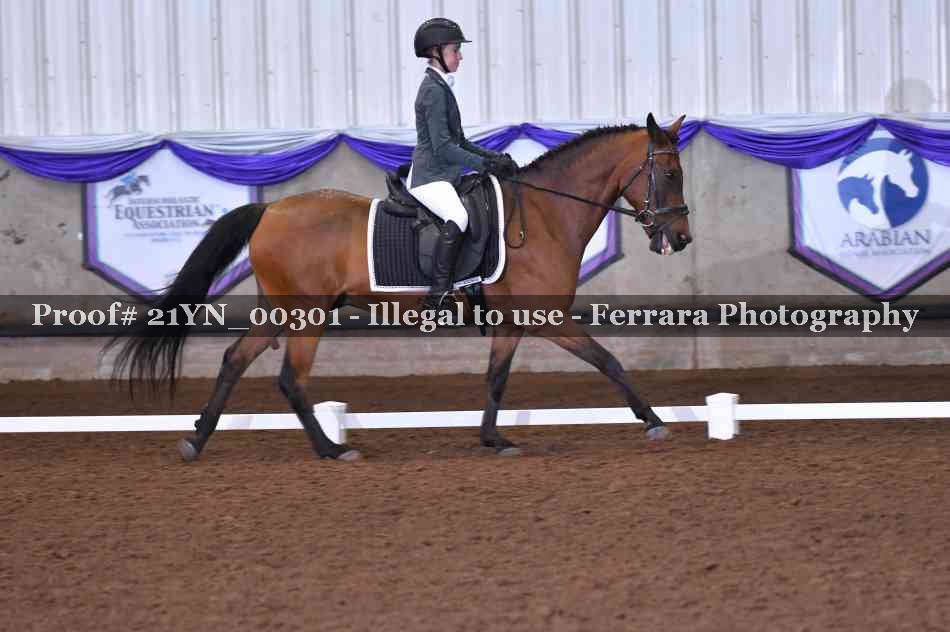 Proof Number 21YN_00301
