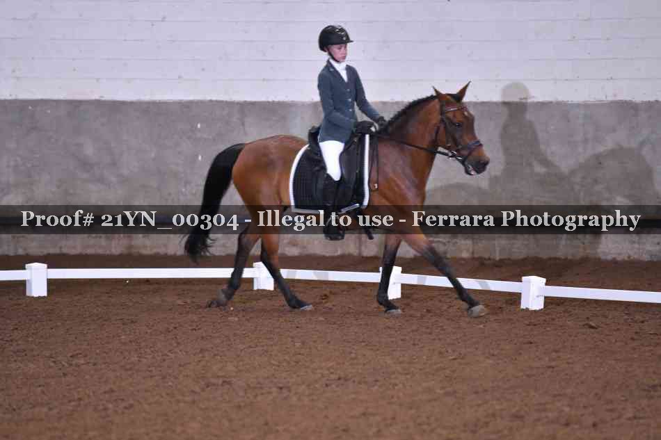 Proof Number 21YN_00304