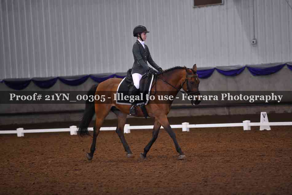 Proof Number 21YN_00305