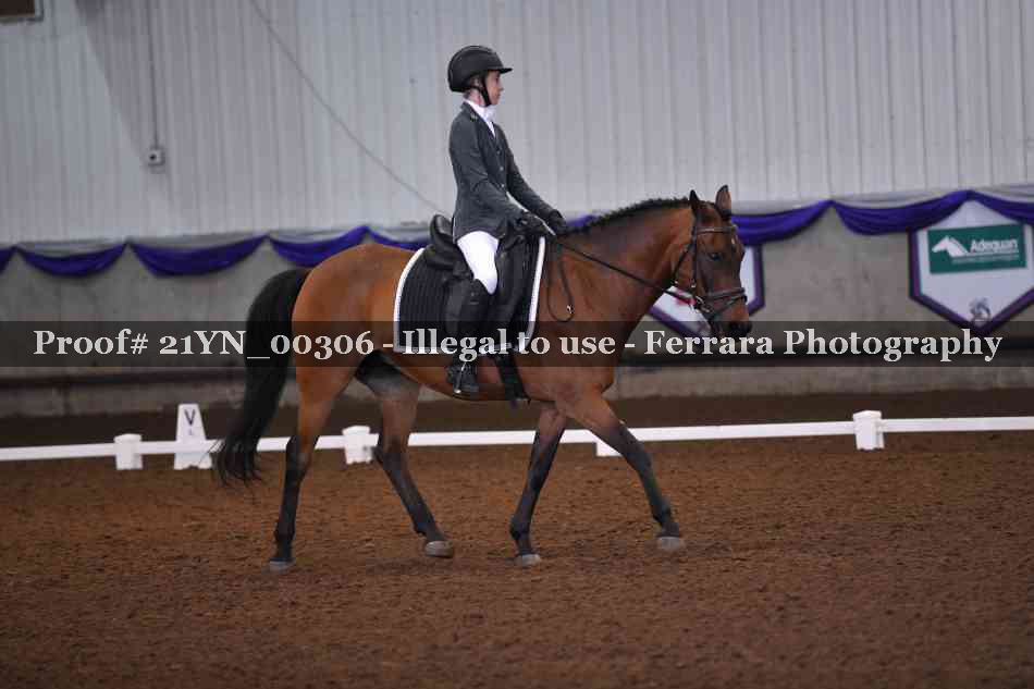 Proof Number 21YN_00306