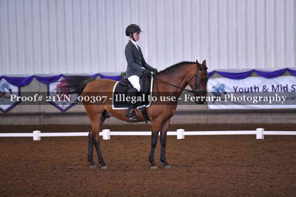 Proof Number 21YN_00307