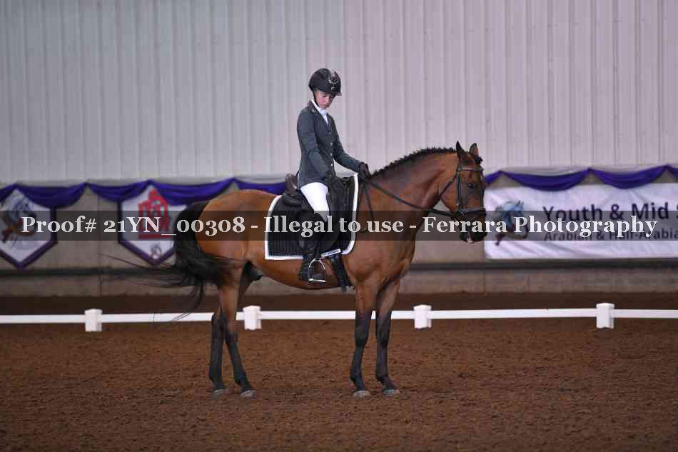 Proof Number 21YN_00308