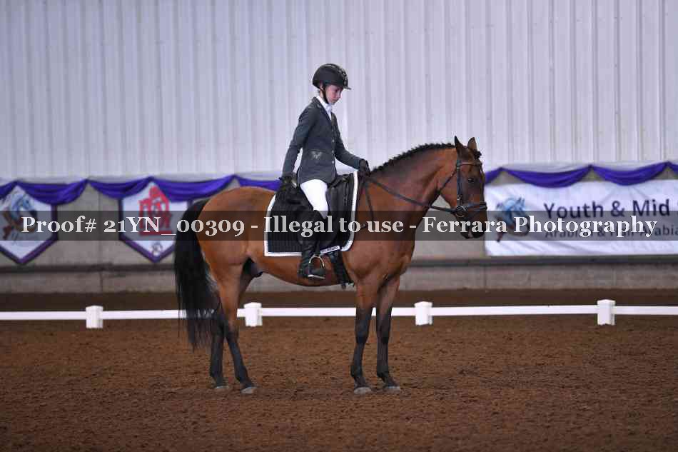 Proof Number 21YN_00309