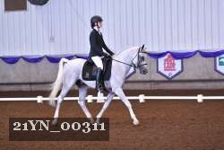 21YN_00311 thumbnail