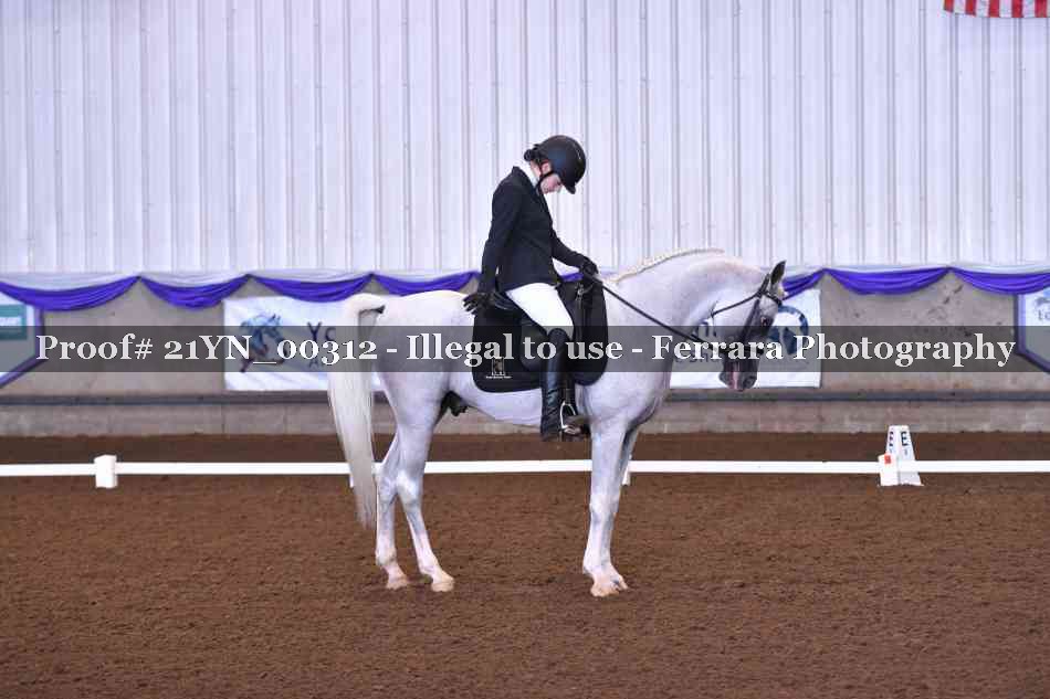 Proof Number 21YN_00312