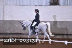21YN_00313 thumbnail