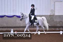 21YN_00314 thumbnail