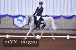 21YN_00320 thumbnail