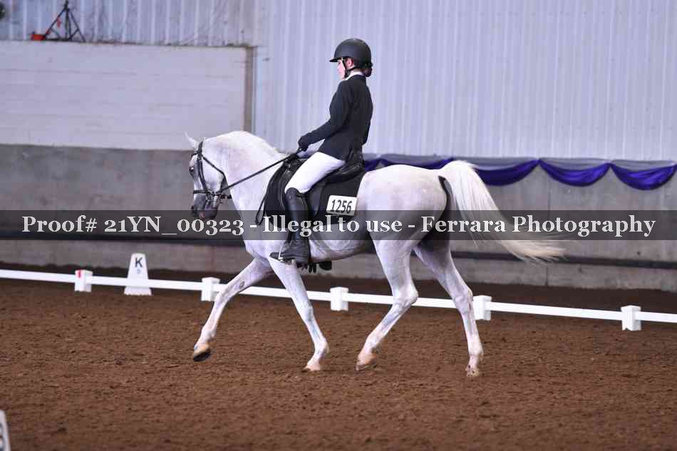 Proof Number 21YN_00323