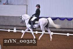 21YN_00323 thumbnail