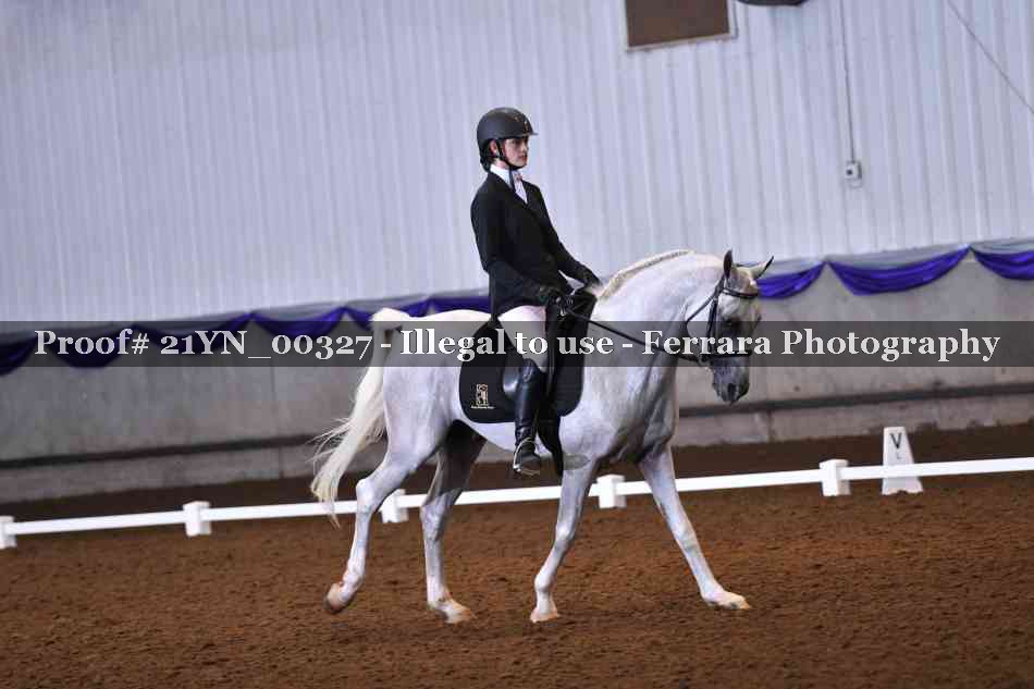 Proof Number 21YN_00327