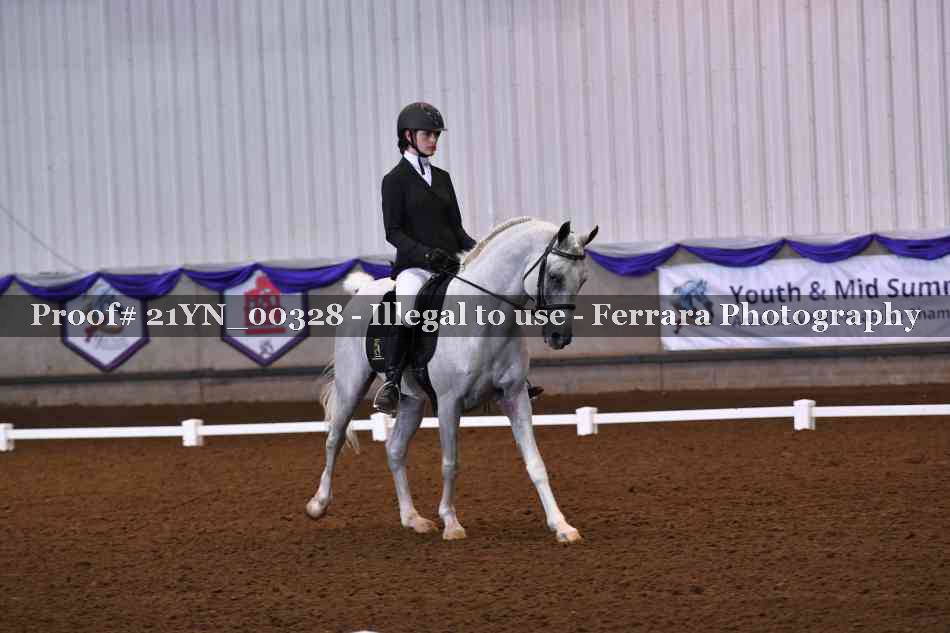 Proof Number 21YN_00328