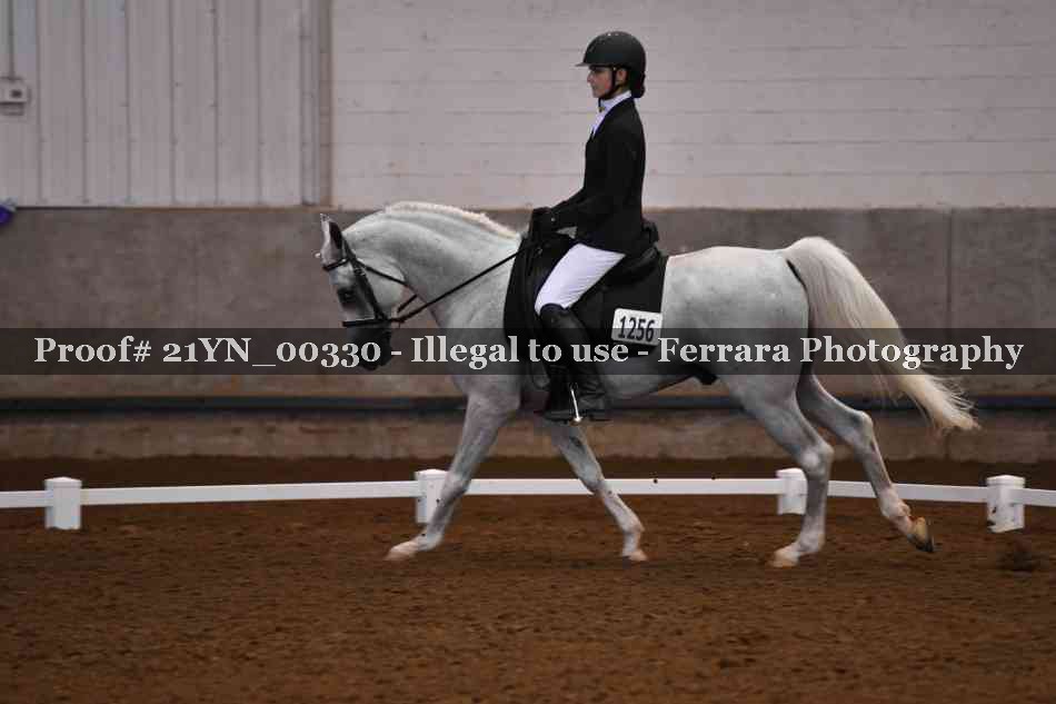 Proof Number 21YN_00330