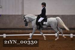 21YN_00330 thumbnail