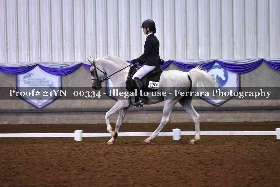 Proof Number 21YN_00334