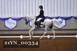 21YN_00334 thumbnail