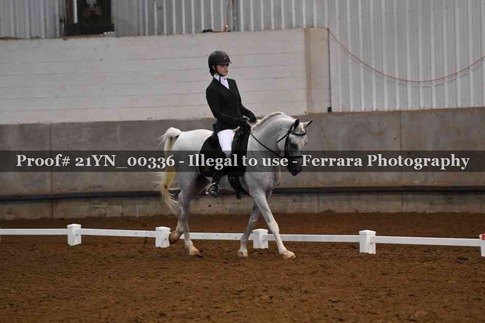 Proof Number 21YN_00336