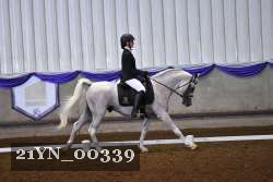 21YN_00339 thumbnail