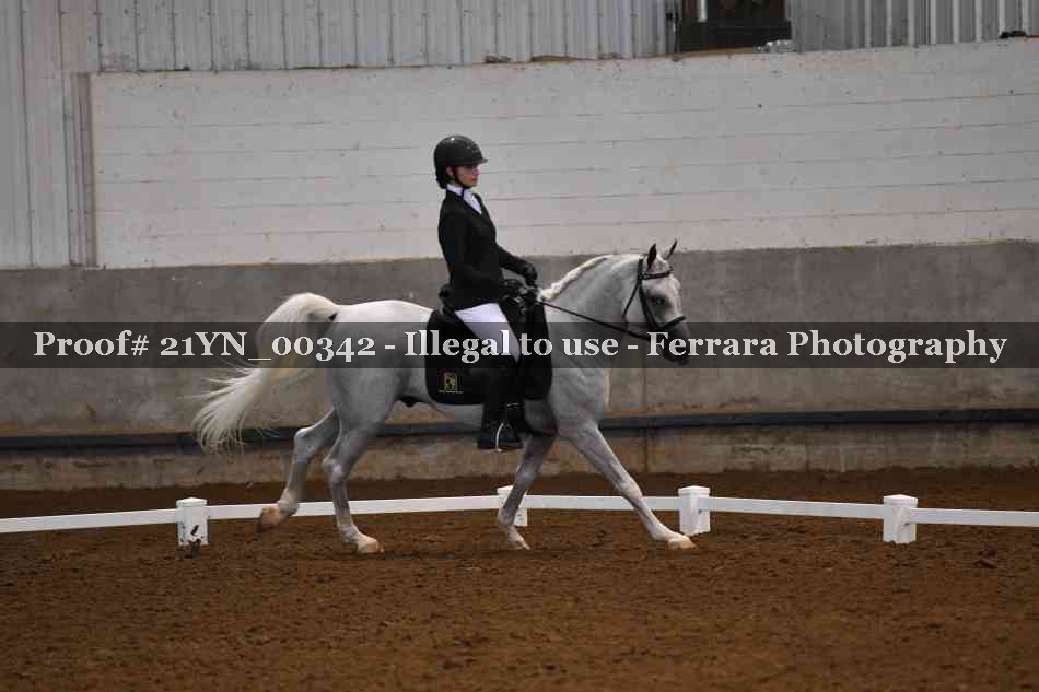 Proof Number 21YN_00342