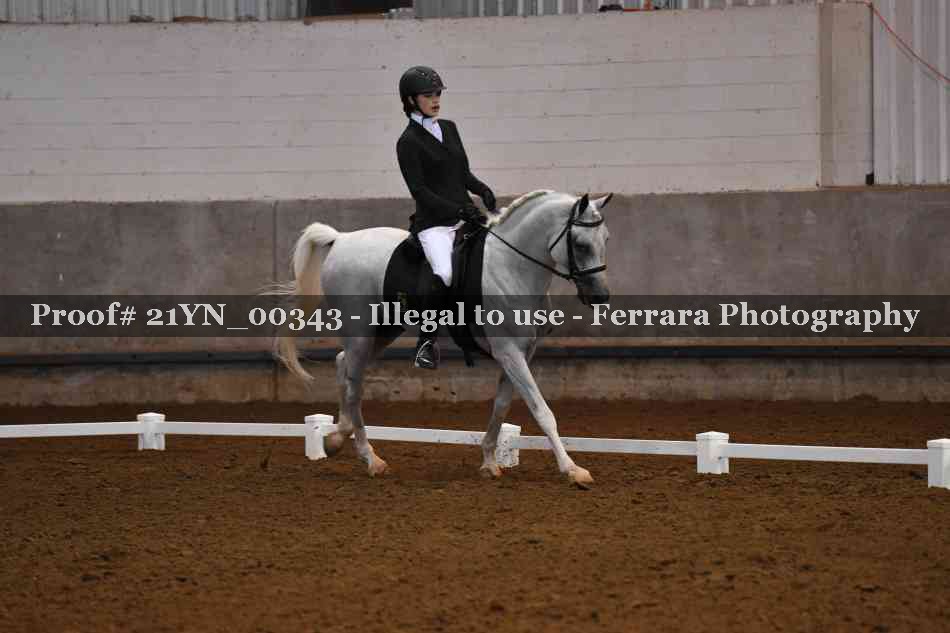 Proof Number 21YN_00343