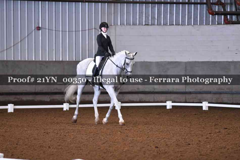Proof Number 21YN_00350