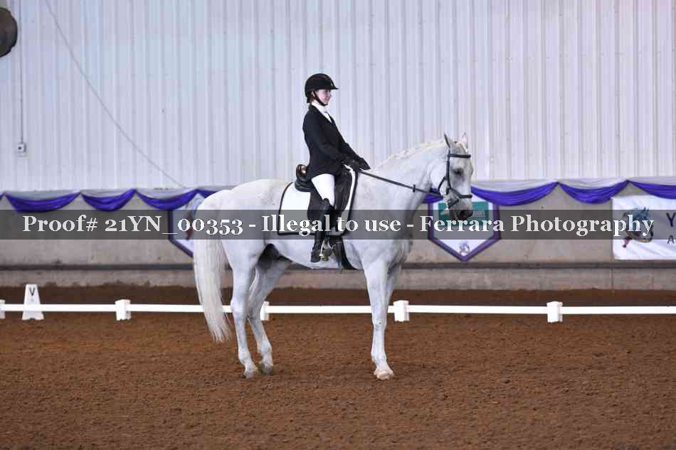 Proof Number 21YN_00353