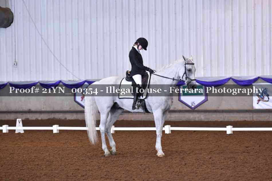 Proof Number 21YN_00354