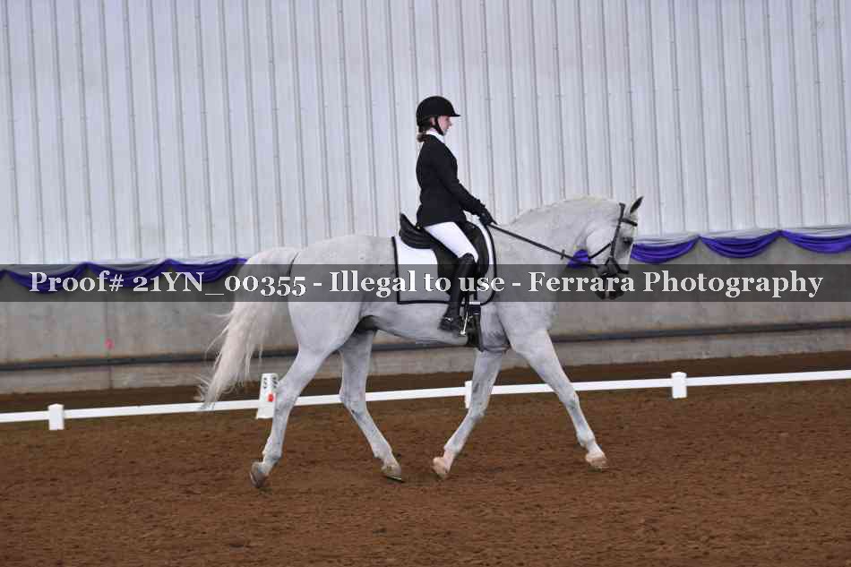 Proof Number 21YN_00355