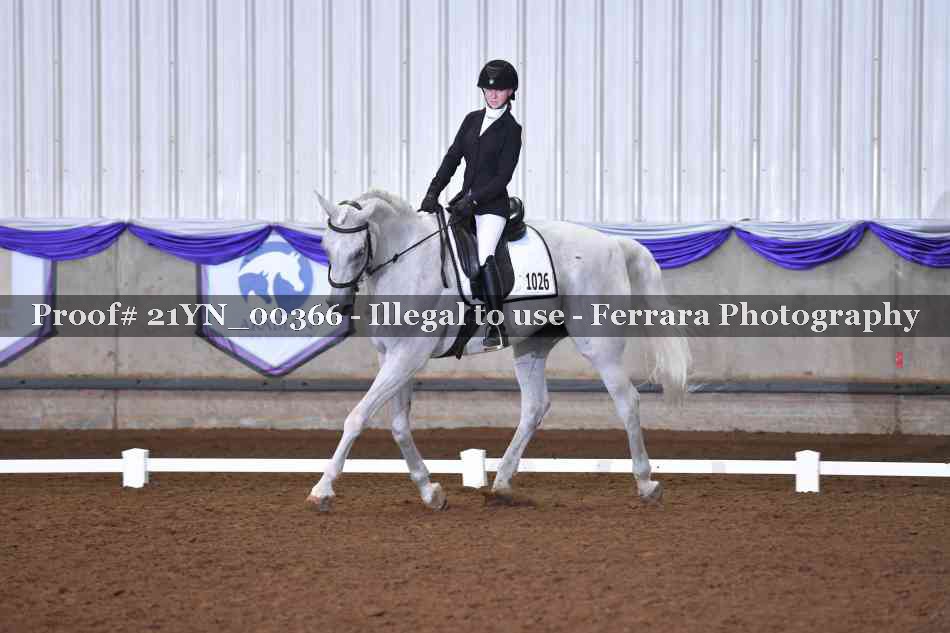 Proof Number 21YN_00366