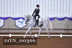 21YN_00366 thumbnail