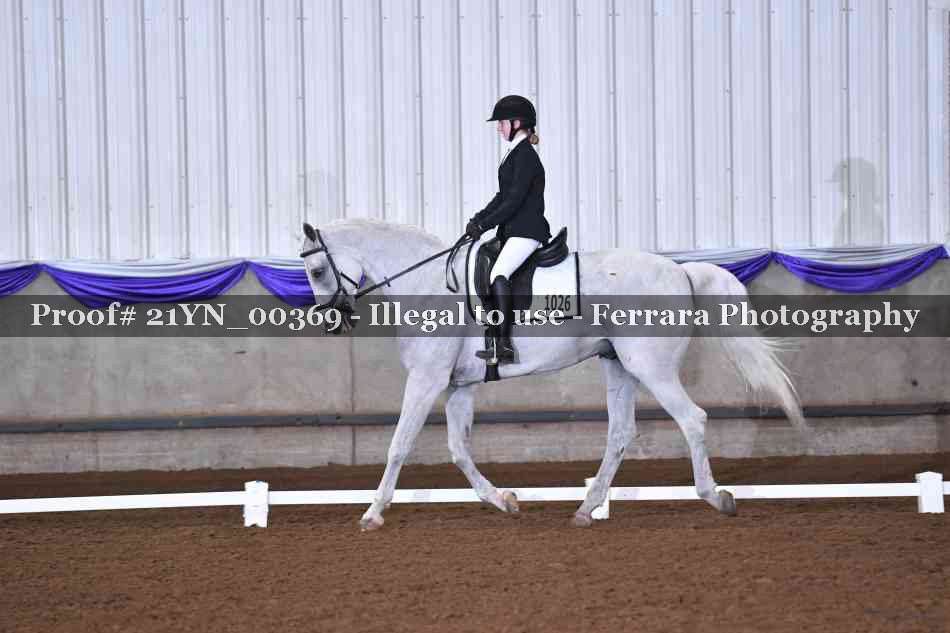 Proof Number 21YN_00369