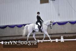 21YN_00372 thumbnail