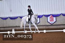 21YN_00373 thumbnail
