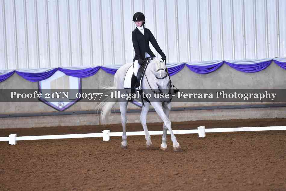 Proof Number 21YN_00377