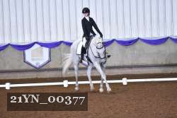21YN_00377 thumbnail