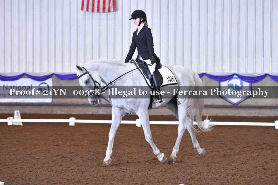 Proof Number 21YN_00378