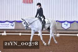 21YN_00378 thumbnail