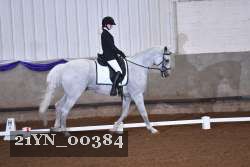 21YN_00384 thumbnail