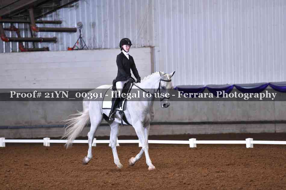 Proof Number 21YN_00391