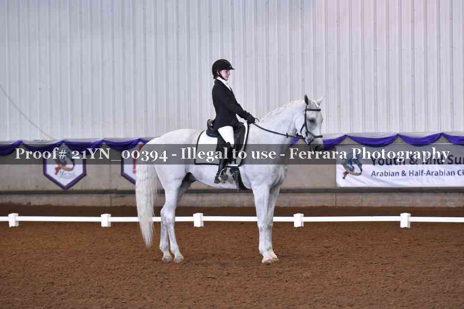 Proof Number 21YN_00394